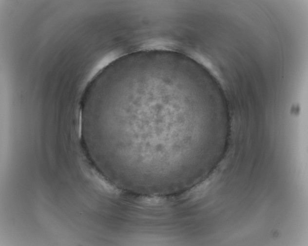 X0000091921219200709051433