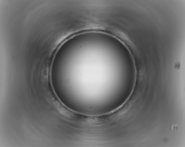 X0000091921220200709051433