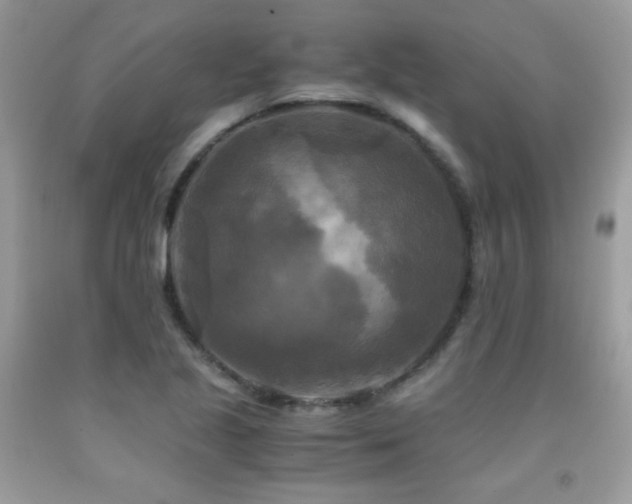 X0000091921221200709051433