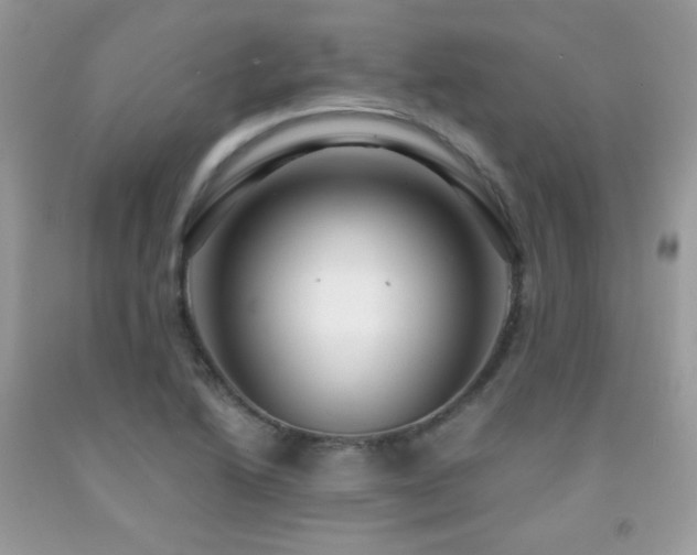 X0000091921222200709051433