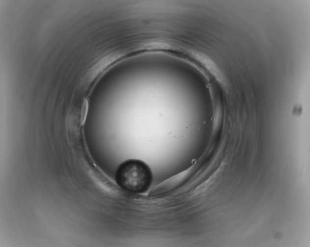 X0000091921225200709051433