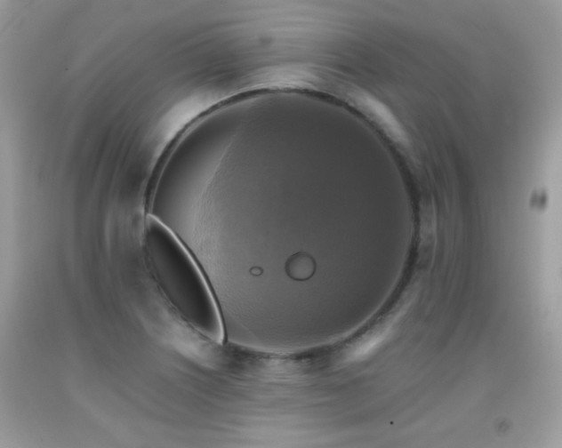X0000091921226200709051433