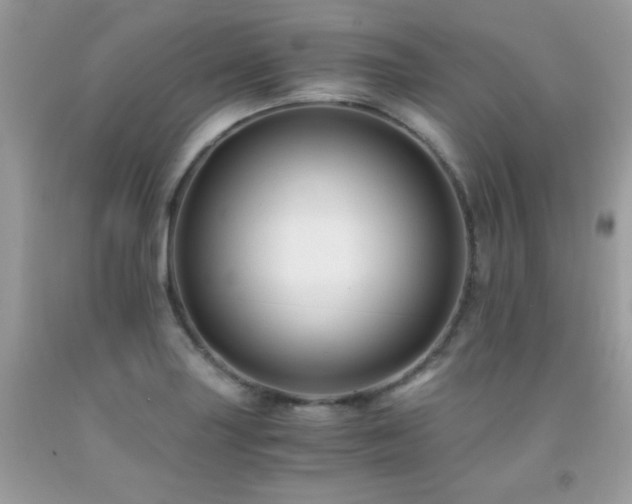 X0000091921227200709051433