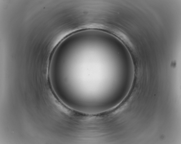 X0000091921228200709051433