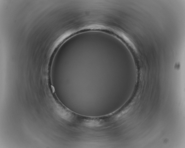 X0000091921229200709051433