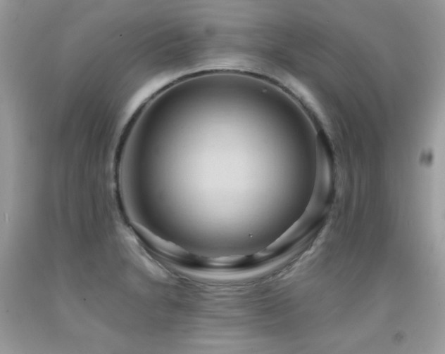 X0000091921230200709051433