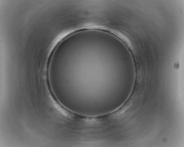 X0000091921231200709051433