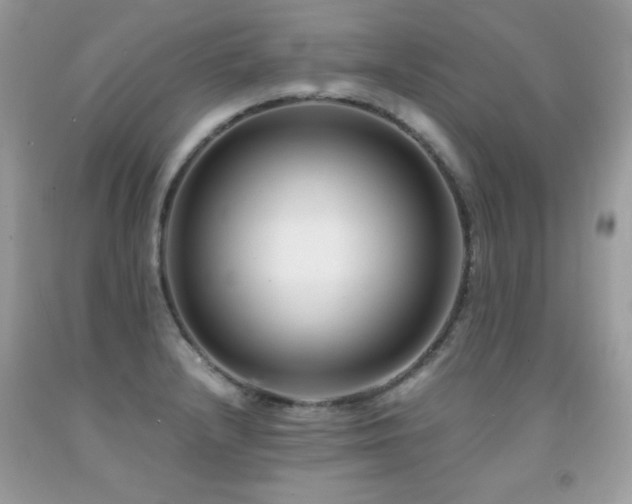 X0000091921232200709051433