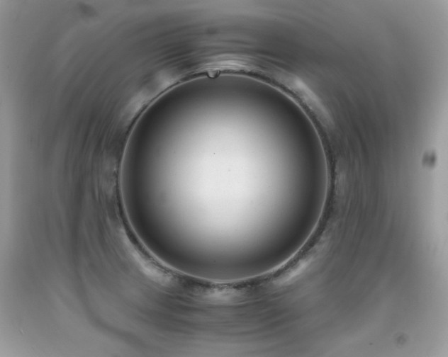 X0000091921233200709051433