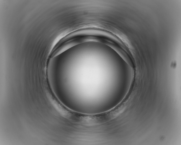 X0000091921234200709051433