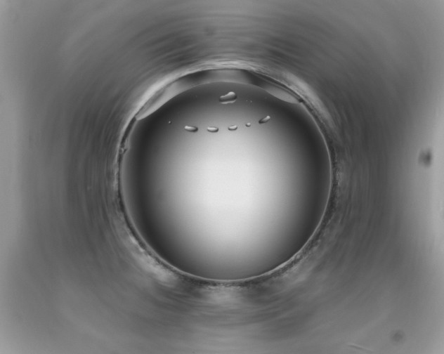 X0000091921236200709051433