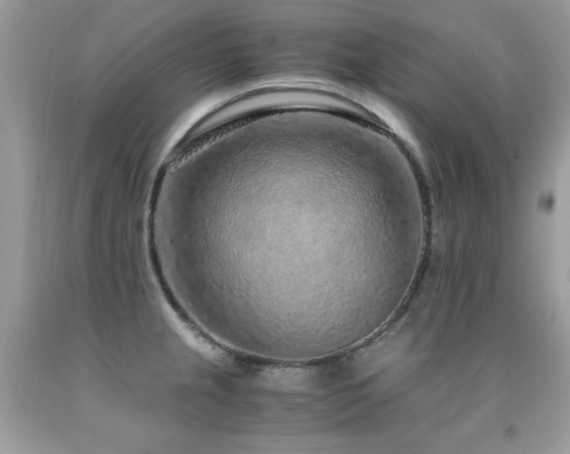 X0000091921237200709051433