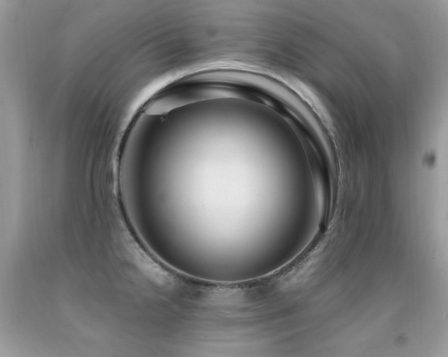 X0000091921238200709051433