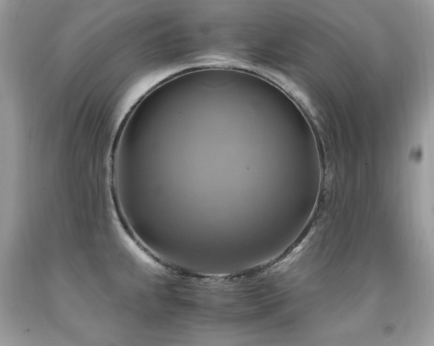 X0000091921239200709051433