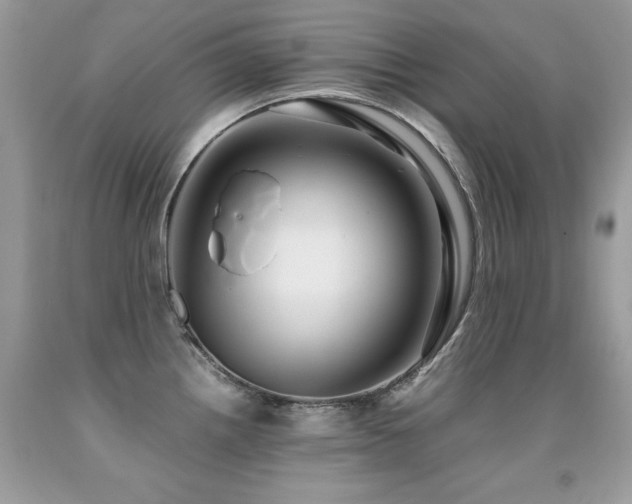 X0000091921242200709051433