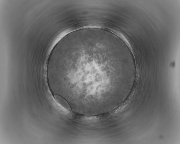 X0000091921243200709051433