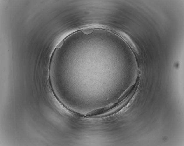 X0000091921244200709051433