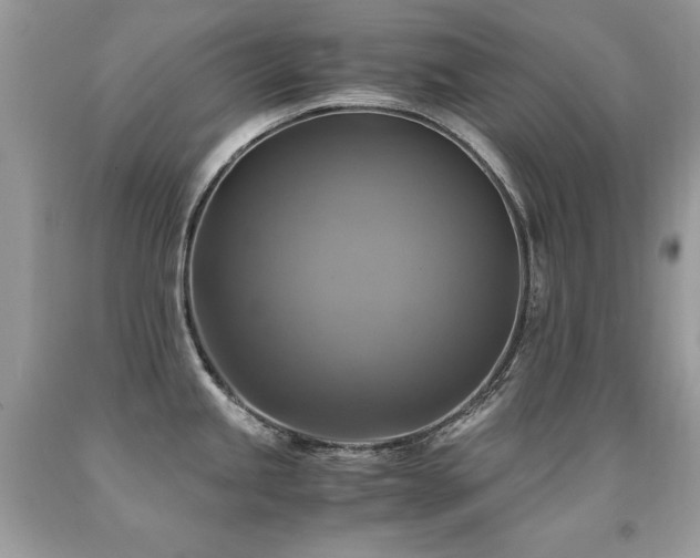 X0000091921245200709051433