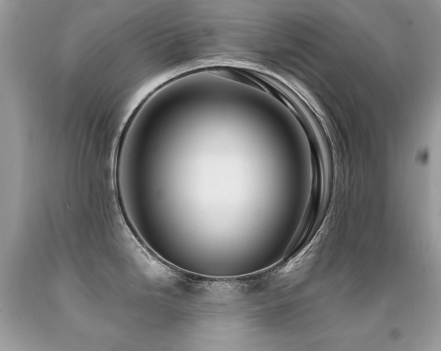 X0000091921246200709051433