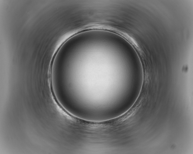 X0000091921247200709051433