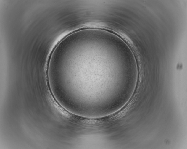 X0000091921248200709051433