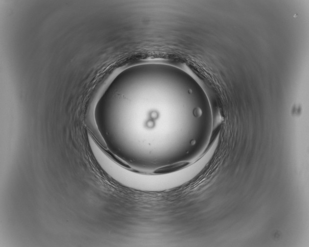 X0000091921249200709051432