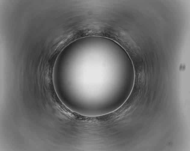 X0000091921250200709051432