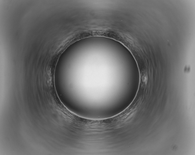 X0000091921252200709051432