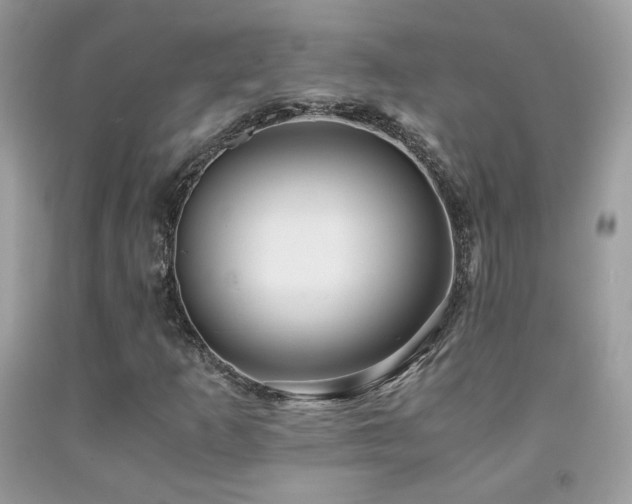 X0000091921253200709051432