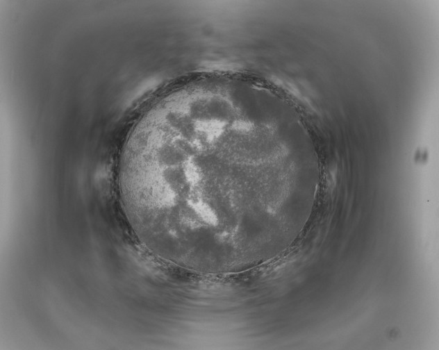 X0000091921254200709051432