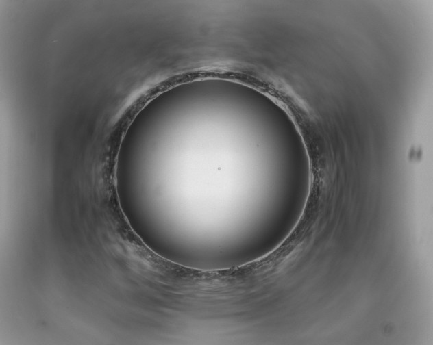 X0000091921256200709051432