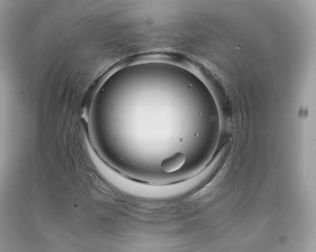 X0000091921257200709051432