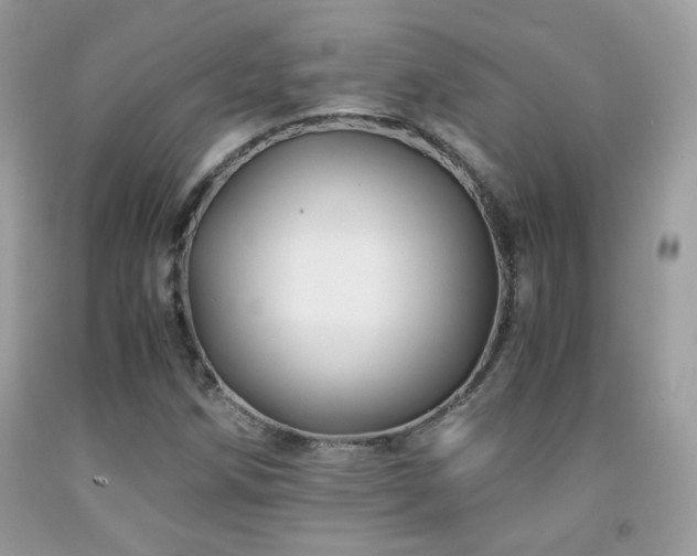 X0000091921258200709051432