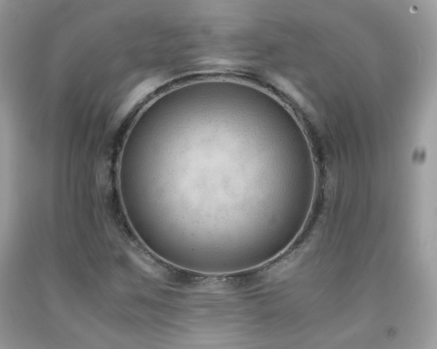 X0000091921259200709051432