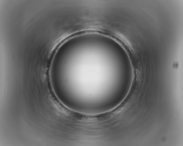 X0000091921260200709051432