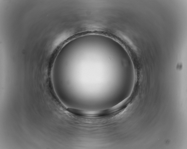 X0000091921261200709051432
