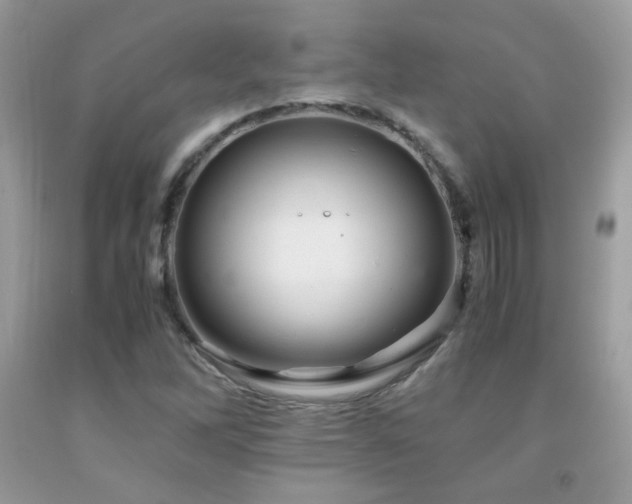 X0000091921262200709051432
