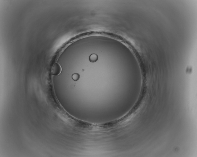 X0000091921263200709051432