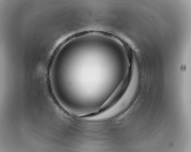 X0000091921264200709051432