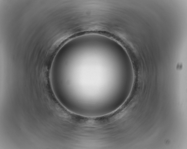 X0000091921265200709051432