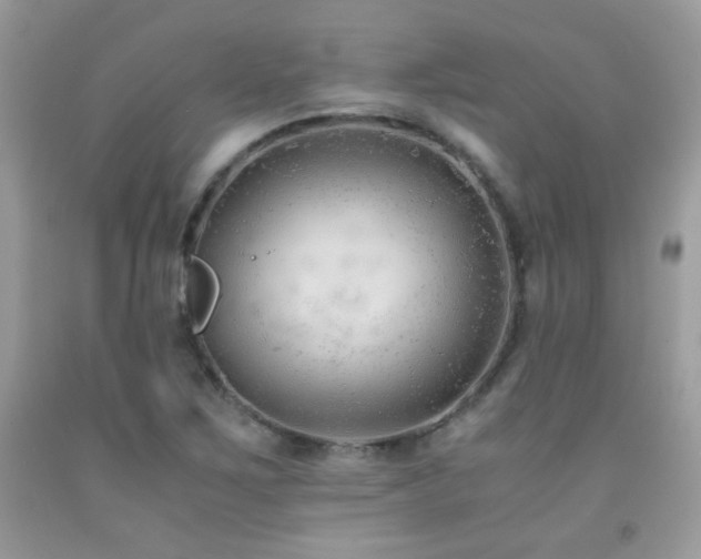 X0000091921267200709051432