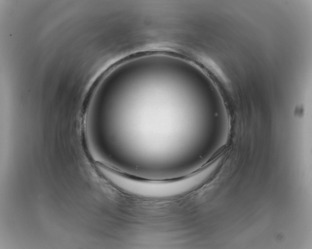 X0000091921268200709051432