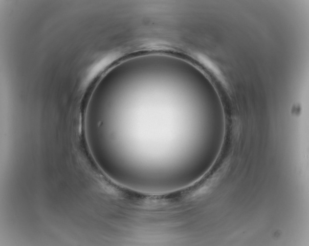 X0000091921269200709051432