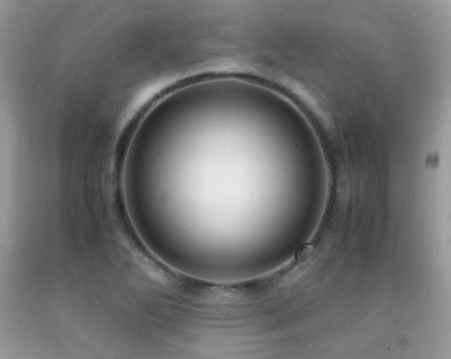 X0000091921270200709051432