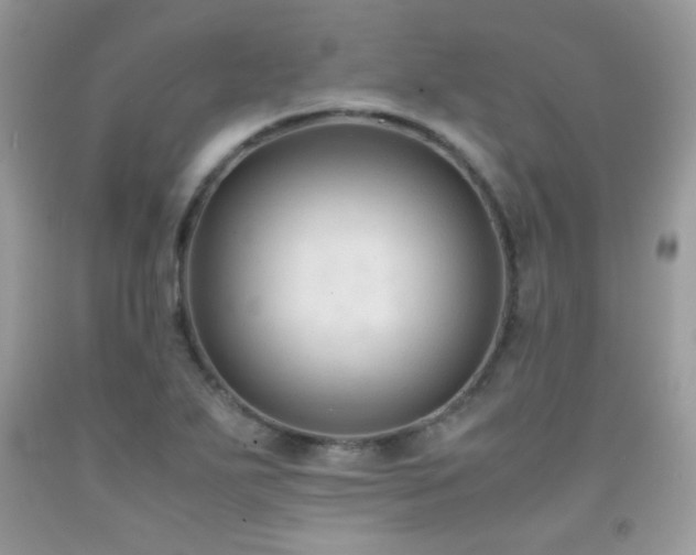 X0000091921271200709051432