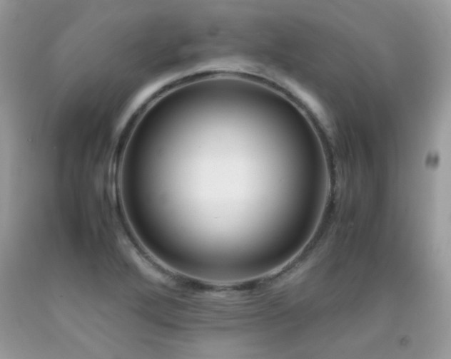 X0000091921272200709051432