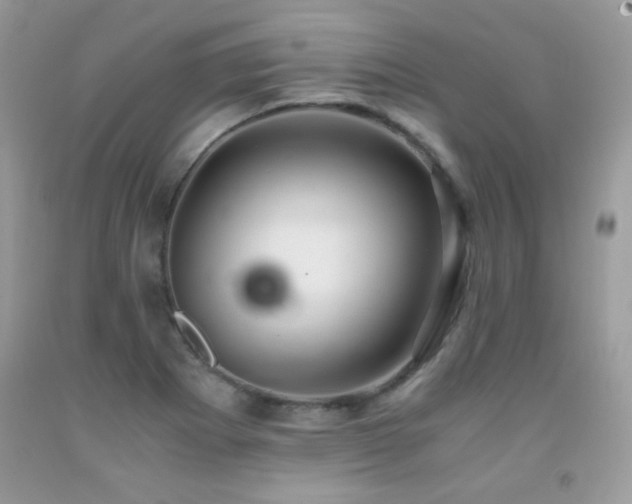 X0000091921273200709051432