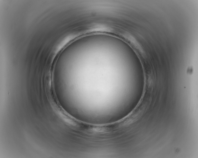 X0000091921274200709051432