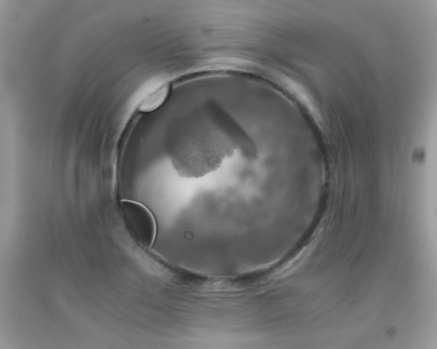 X0000091921275200709051432
