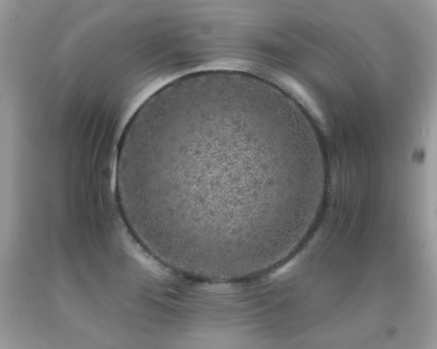 X0000091921276200709051432